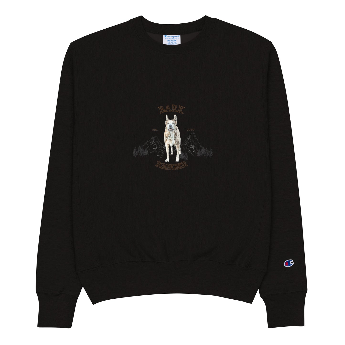 Champion Sweatshirt